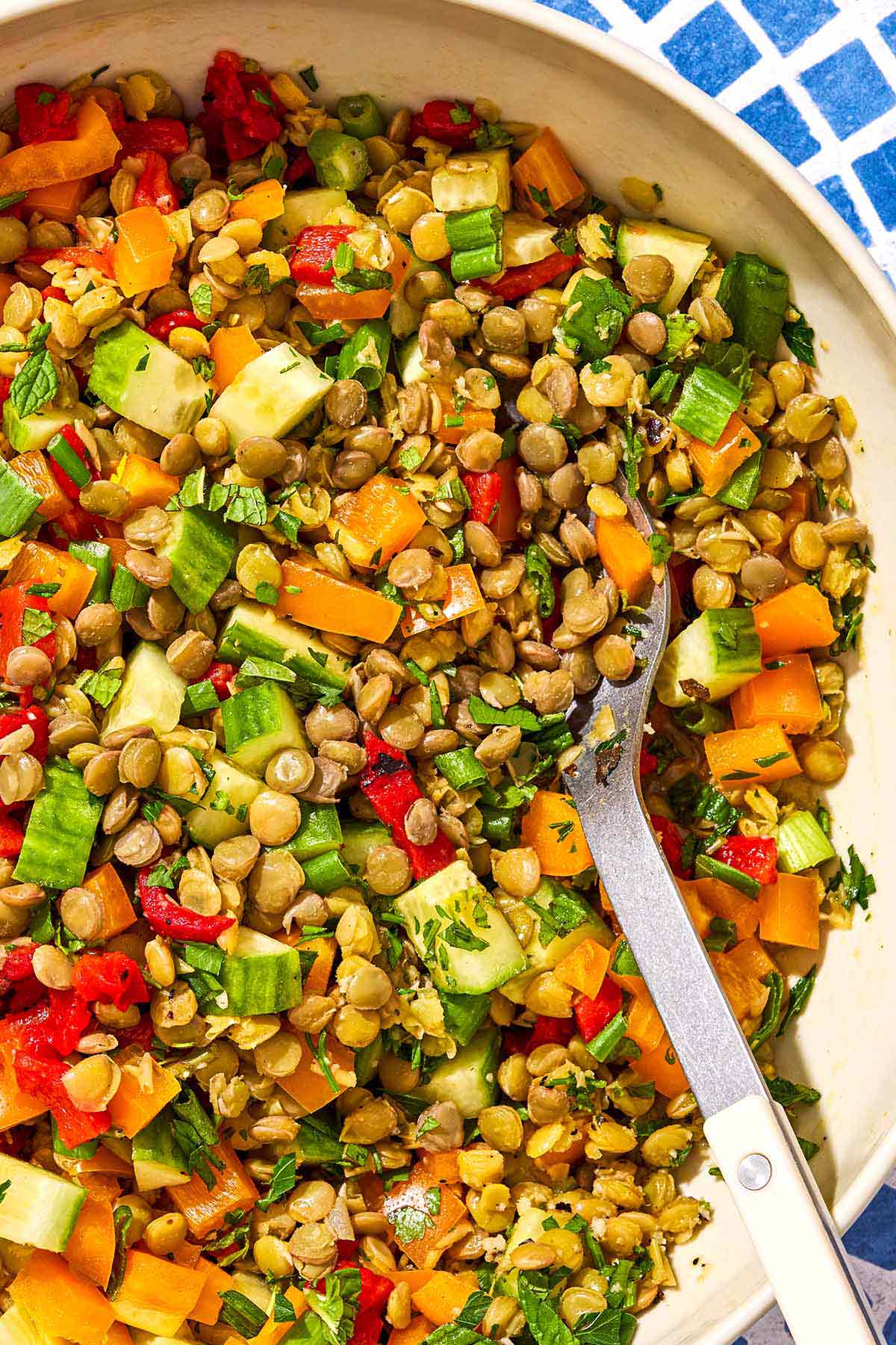 French Lentil Salad with Cucumber, Bell Pepper, and Fresh Herbs